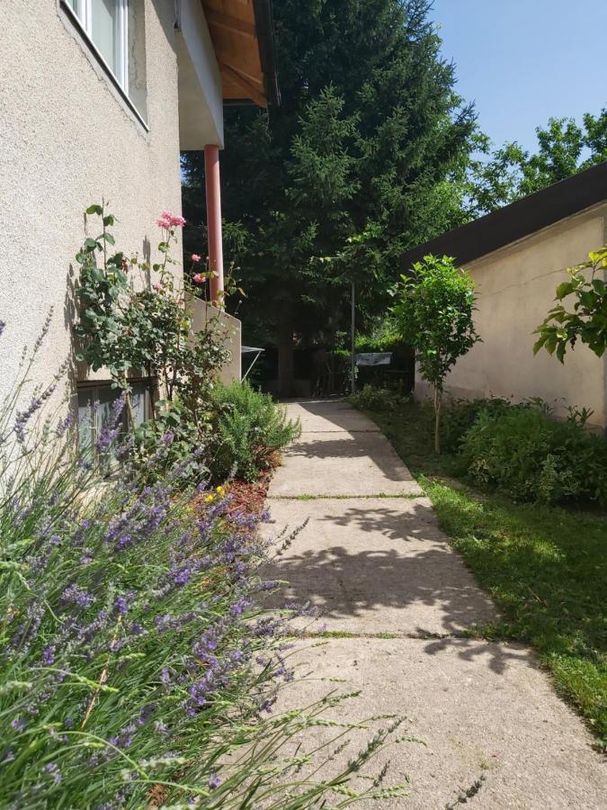 Sadrvan Una Apartment Bihać Exteriér fotografie